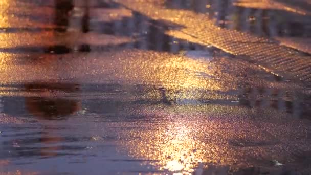 Reflexión de la figura humana sobre el asfalto mojado en la calle por la noche. Luz artificial — Vídeos de Stock