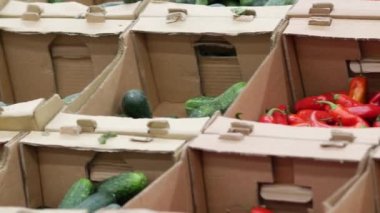 Süpermarketin vitrininde sebzelerle dolu bir kutu. Taze salatalık ve kırmızı