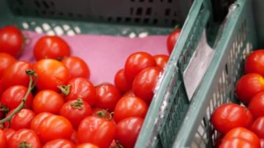 Taze domatesler süpermarketin sebze bölümünde plastik sandıkların içinde.
