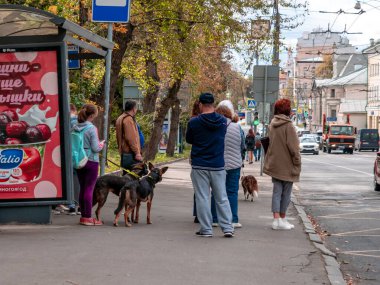 Moskova, Rusya - 14 Eylül 2019: İnsanlar toplu taşıma durağında duruyor. Şehir caddesinde otobüs bekleyen yolcular. Minibüsü bekleyen, tasmalı, ağızlık takmış iki köpeği olan bir kadın.