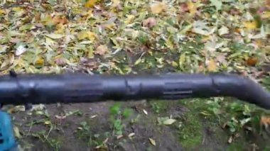 Benzin yaprağı üfleyici çimenlikteki yaprakları temizler. Bahçe işleri. Temizleniyor