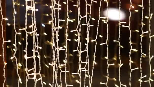 A garland of miniature LED bulbs glows near the glass of the display case. — Stock Video