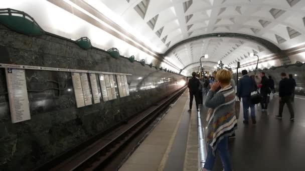 Panorama del metro. Los trenes llegan y salen — Vídeo de stock