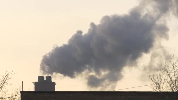 A fumaça sai de tubos de usina térmica. Céu e pluma do por do sol — Vídeo de Stock