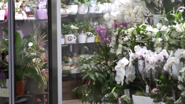 Вуличний кіоск продає квіти. Квіткова крамниця в підлітковому районі біля метро. Квіти на продаж стоять за вікном вікна виходу.. — стокове відео