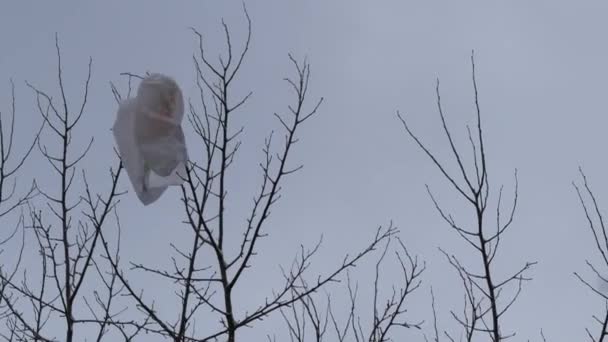 Saco de saco de plástico de supermercado pende em galhos de árvore. Desapareceu com o vento — Vídeo de Stock
