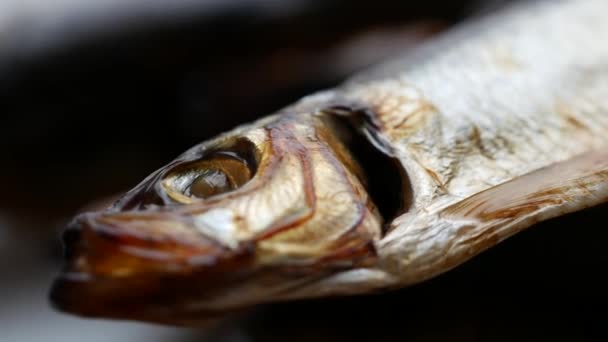 冷たいスモークサラカを食べる準備ができています。皿の上で魚の密接な煙。海魚 — ストック動画