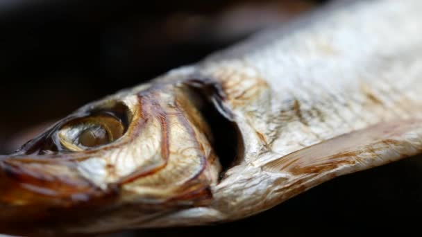 Salaka fumado frio pronto para comer. O peixe fumado fecha-se em um prato. Peixes marinhos — Vídeo de Stock