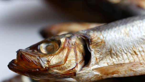 冷たいスモークサラカを食べる準備ができています。皿の上で魚の密接な煙。海魚 — ストック動画