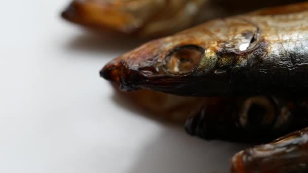 Salaka ahumada fría lista para comer. Pescado ahumado de cerca en un plato. Peces marinos — Vídeos de Stock