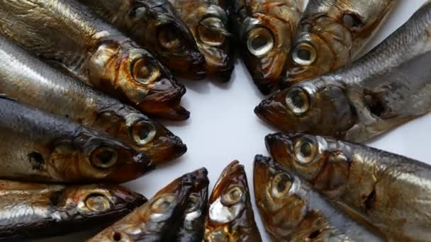 Cold smoked salaka ready to eat. Smoked fish close-up on a plate. Sea fish — Stock Footage Cold smoked salaka ready to eat. Smoked fish close-up on a plate. Sea fish Royalty Free Stock Footage