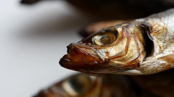 Ψυχρή καπνιστή σαλάκα έτοιμη για φαγητό. Καπνιστά ψάρια κοντά σε ένα πιάτο. Θαλασσινά ψάρια — Αρχείο Βίντεο