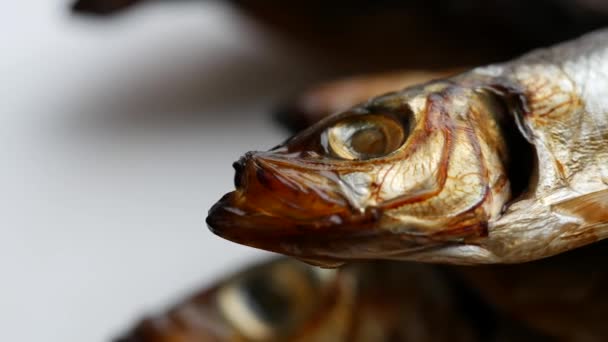 Salaka ahumada fría lista para comer. Pescado ahumado de cerca en un plato. Peces marinos — Vídeos de Stock