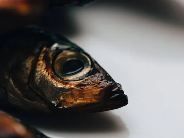 Salaka Fumado Frio Pronto Para Comer Peixe Fumado Fecha Prato — Fotografia de Stock