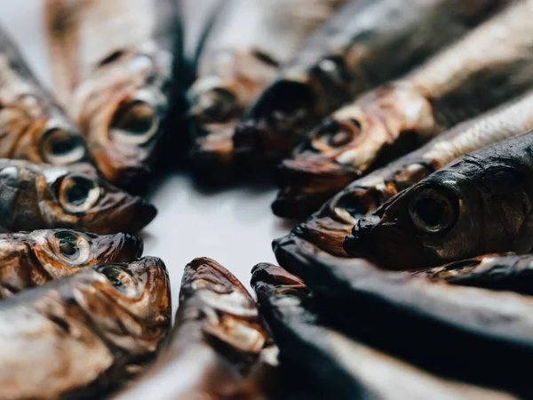 Kallrökt Salaka Klar Att Äta Rökt Fisk Närbild Tallrik Havsfisk — Stockfoto