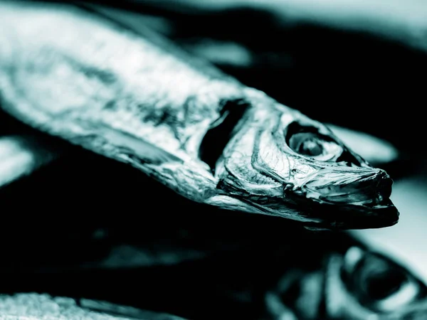 Kallrökt Salaka Klar Att Äta Rökt Fisk Närbild Tallrik Havsfisk — Stockfoto