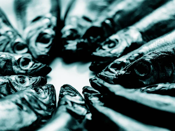 Ψυχρή Καπνιστή Σαλάκα Έτοιμη Για Φαγητό Καπνιστά Ψάρια Κοντά Ένα — Φωτογραφία Αρχείου