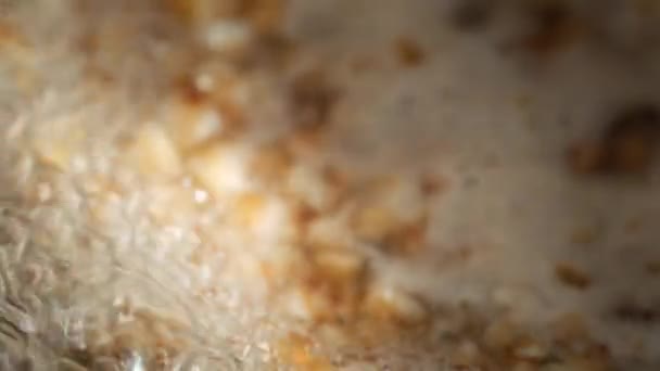 Boiled buckwheat closeup in pot. Cooking buckwheat porridge. Boiling water — Stock Video