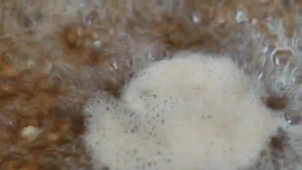 Primo piano di grano saraceno bollito in pentola. Cucinare il porridge di grano saraceno. Acqua bollente — Video Stock