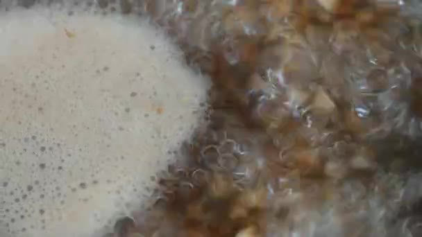 Gekochter Buchweizen Nahaufnahme im Topf. Buchweizenbrei kochen. Kochendes Wasser — Stockvideo