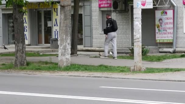 Pubblicità cartellone dell'agenzia di stampa reporter.in.ua. Testo slogan — Video Stock