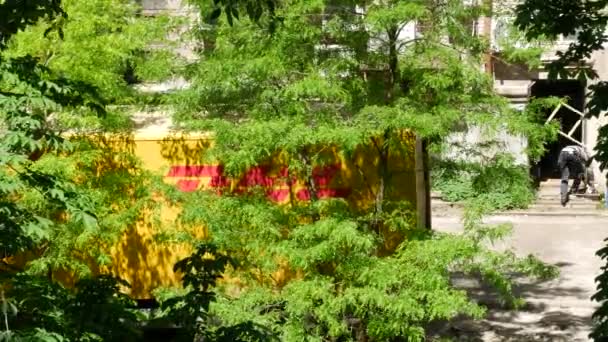 La camioneta DHL despachada desde el edificio. Árboles verdes follaje en primer plano. Sunny May — Vídeos de Stock
