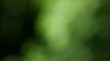 Bokeh 'te hafif yumuşak renklerle bulanık hareket eden bulanık arkaplan