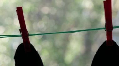 İki siyah adamın çorapları yeşil ipte kırmızı mandallarla bağlanmış..