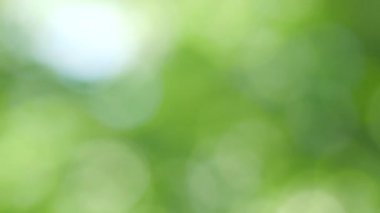 Bokeh 'te hafif yumuşak renklerle bulanık hareket eden bulanık arkaplan