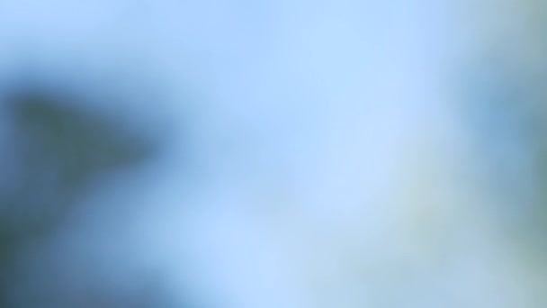 Abstrait flou mouvement arrière-plan déconcentré avec des teintes douces claires dans bokeh