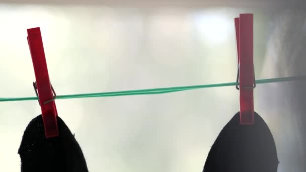 Twee zwarte mannensokken met rode wasknijpers aan groen touw. — Stockvideo