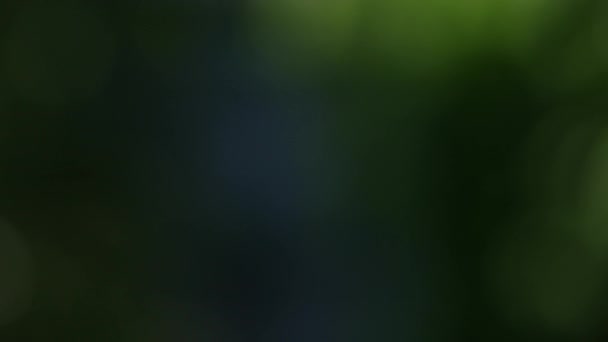 Abstrait flou mouvement arrière-plan déconcentré avec des teintes douces claires dans bokeh