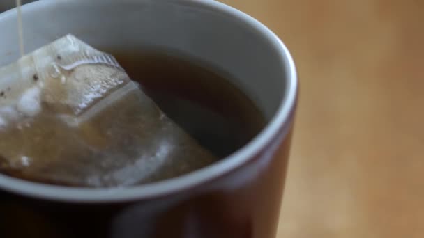 Bolsa de té flota en agua hirviendo vertida en una taza de porcelana marrón para el desayuno — Vídeo de stock