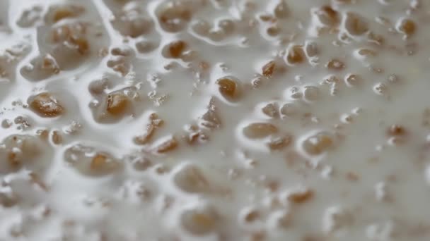 Traditional oatmeal in a plate. Close-up. Oatmeal with milk surface texture view — Stock Video