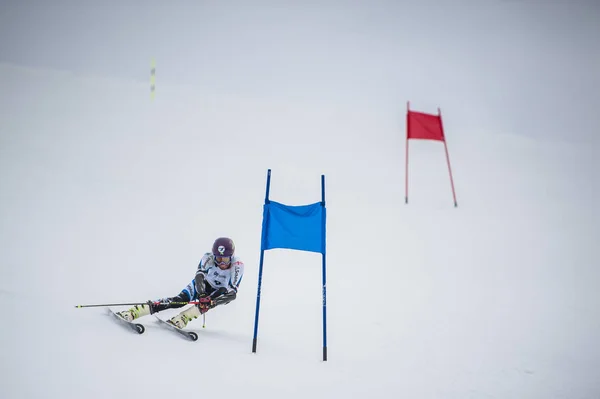 Slalom Esquiador en Gudauri, Georgia — Foto de Stock