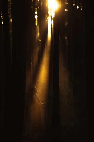 Dívka v sluneční paprsky stojící v lese — Stock fotografie