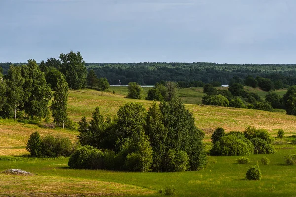 Kizhi Adası, Rusya. Eski ahşap dini mimari
