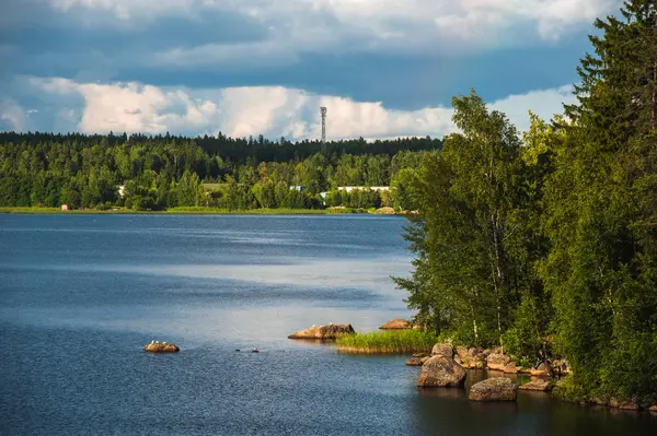 Yaz Peyzaj Park şehir Vyborg Rusya'da yakınındaki Monrepo