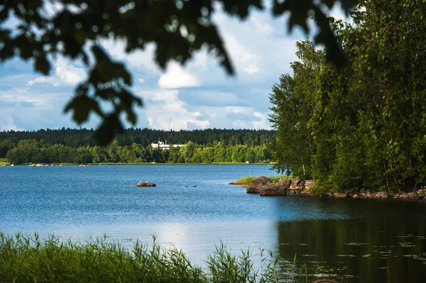 Yaz Peyzaj Park şehir Vyborg Rusya'da yakınındaki Monrepo