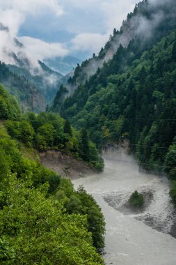 Svaneti siste çam ağaçları, yatay, dağ yamaçlarında, 