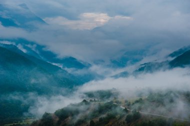 Svaneti siste çam ağaçları, yatay, dağ yamaçlarında, 