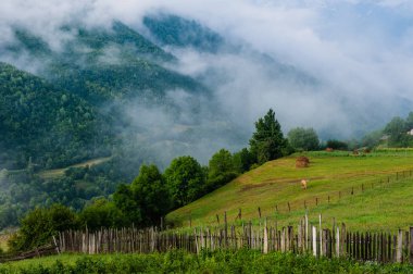 Svanlar Mestia, Svaneti bölgesi, Georgia kuleleri.
