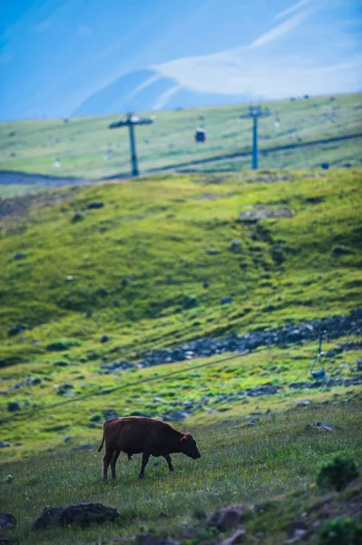 Kayak Merkezi Gudauri yaz aylarında görüntüleyin. Gürcistan Cumhuriyeti