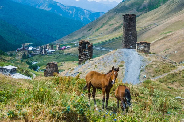 大規模なロッキー山脈の村ウシュグリ風景 ロイヤリティフリーのストック写真