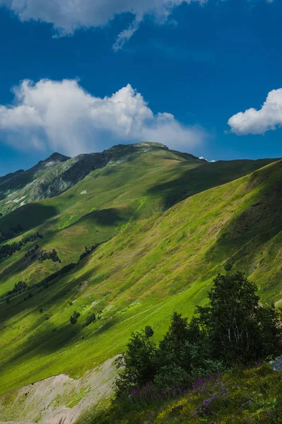 Het mooie zomerse landschap in Arkhyz — Stockfoto