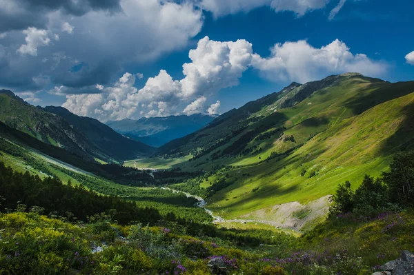 Arkhyz の美しい夏の風景 ロイヤリティフリーのストック写真