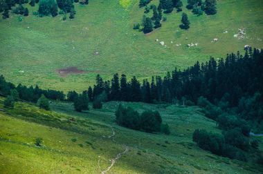 Arkhyz güzel yaz manzarada