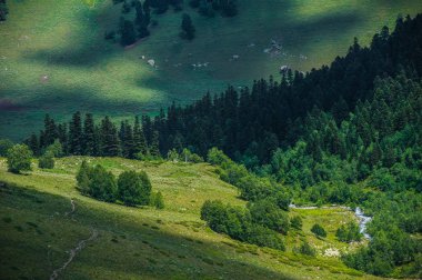 Arkhyz güzel yaz manzarada