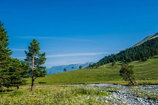 El hermoso paisaje de verano en Arkhyz —  Fotos de Stock