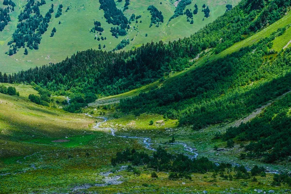 Arkhyz güzel yaz manzarada